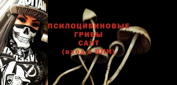 стаф Белоозёрский