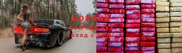 прущие крисы Белокуриха