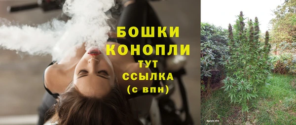 стаф Белоозёрский