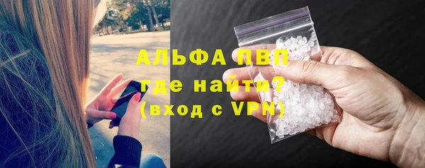 прущие крисы Белокуриха