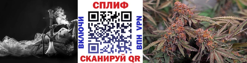 где можно купить наркотик Буинск Бошки Шишки план